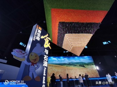 大庆石油的重要性,大庆为什么石油那么多