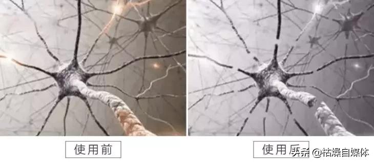 晚上蚊子多教你一个小妙招,蚊子一直在耳边嗡嗡的小妙招