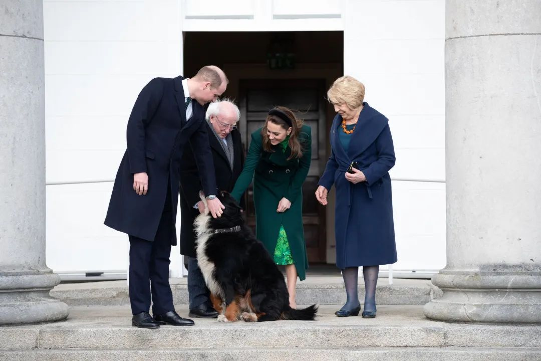 抄作业的基本步骤,凯特威廉王子访问爱尔兰