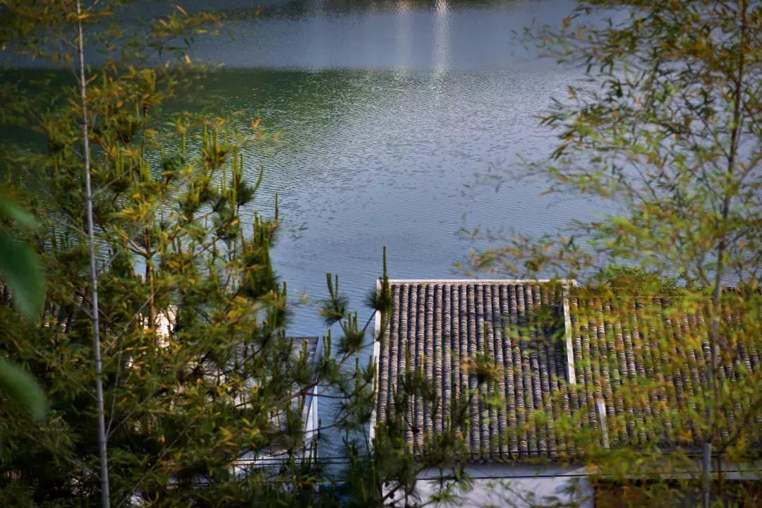 C位出道的千岛湖绝版亲水民宿！要把千岛湖最美的景装进房间……