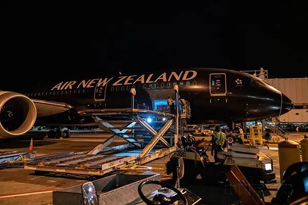 纽航奥克兰飞上海,纽航新西兰