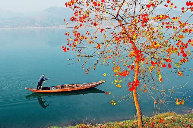 杭州必打卡景点人气榜,杭州旅游必须去的十大景点推荐