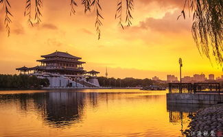 大唐盛世有多繁盛图片,大唐盛世有多繁盛地图