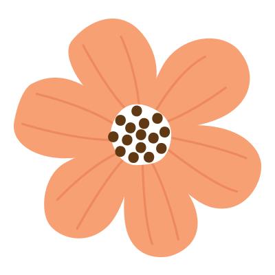 椰岛全球购活动秒杀,海南椰岛全球购在哪买