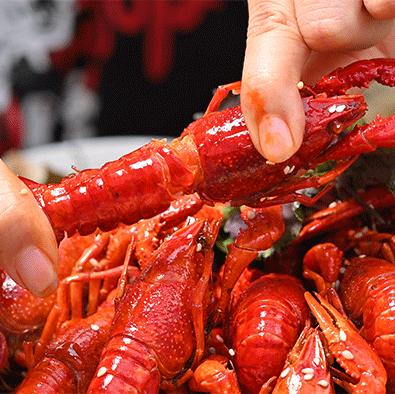 巴掌大小龙虾,深夜爆香小龙虾