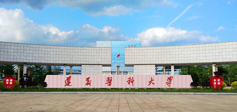 贵州新出的学校大专,贵州新大学