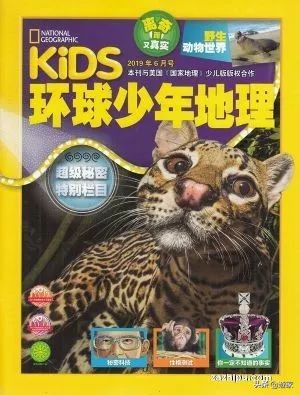 9岁儿童杂志有哪些,儿童文学杂志9-99岁阅读