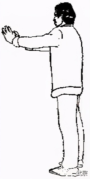 龙门铁布衫,武当铁布衫秘传功法图片