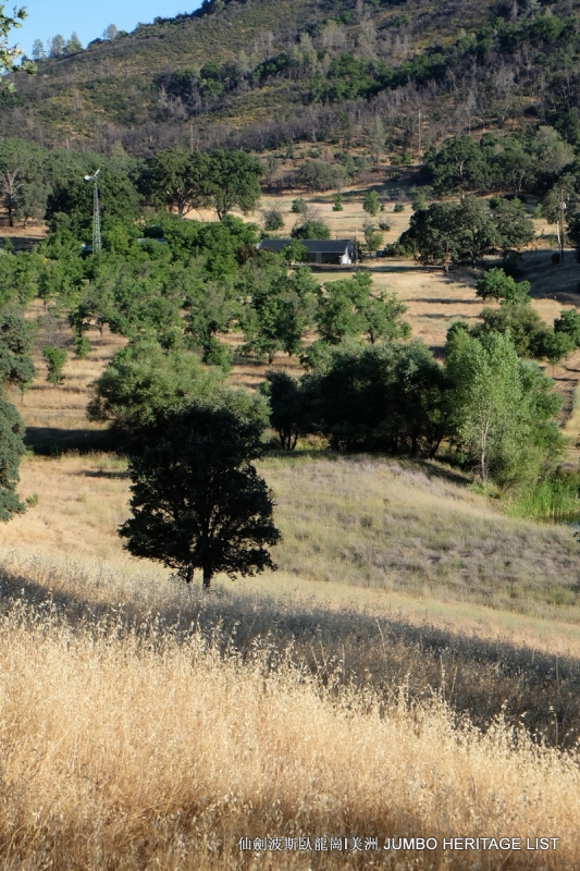 第3045回：人生一世草生一春，来如风雨去似微尘