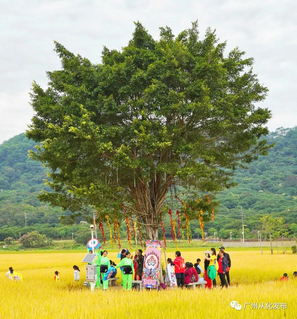 全国群众登山健身大会广州,2022全国登高健身大会