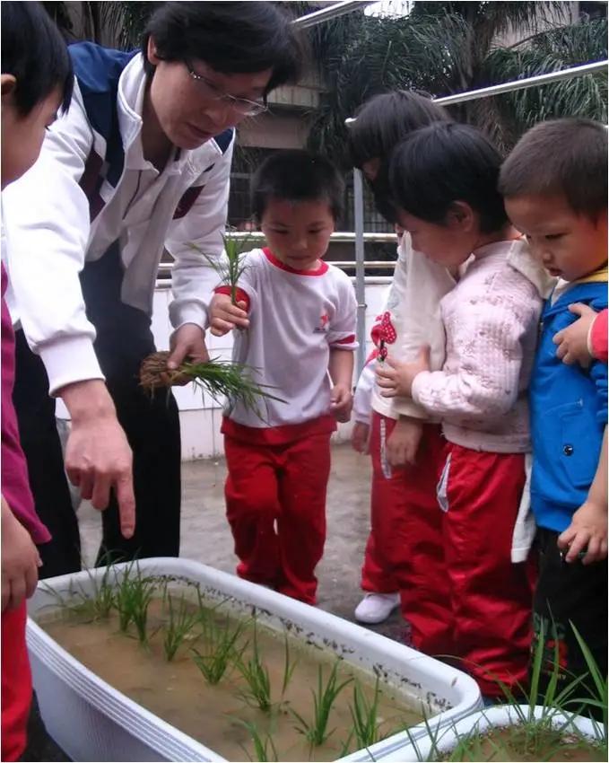 天团新成员,天团出道表演