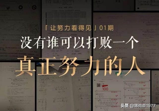 运算符详解教学,运算符主要有哪些