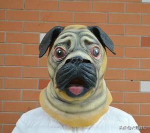 病毒有多大完整版,病毒有多大可能是武器