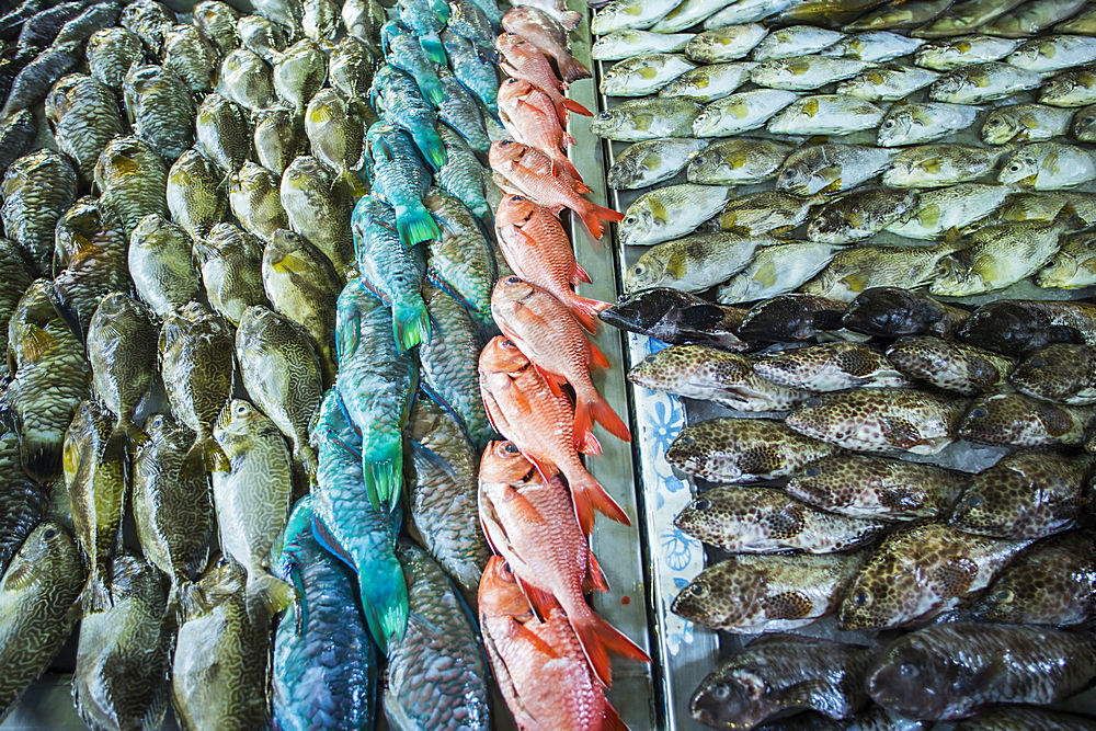 哪些海鱼好吃不上火,哪些海鱼好吃营养好性价比高