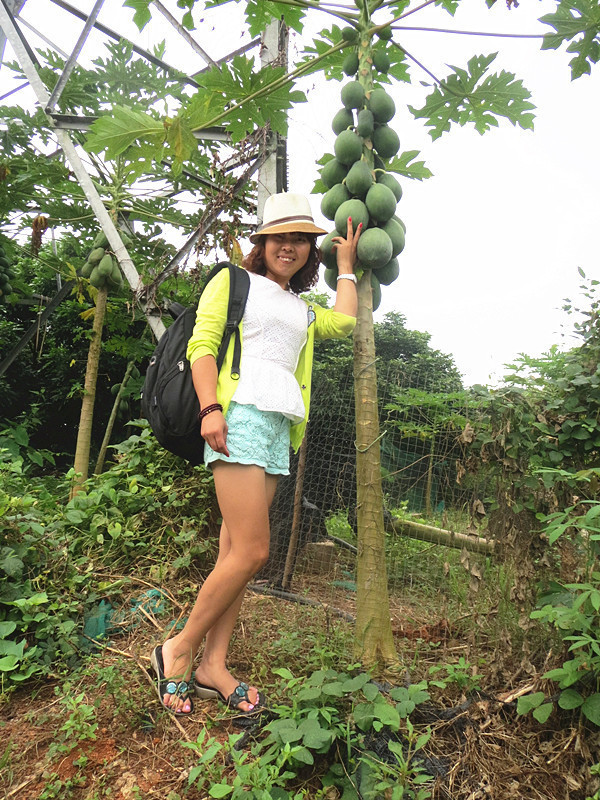 迟来的蜜月迟到的游记,迟来三年的蜜月之旅