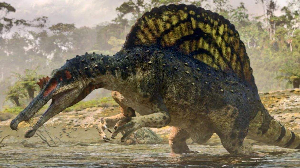 为什么肉食性恐龙是双足行走,恐龙肉食性和植食性怎么区分呢