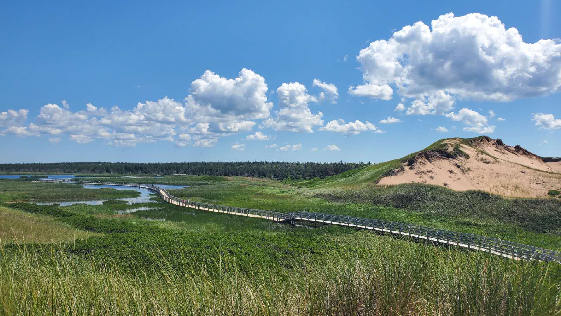 爱德华王子岛旅游,爱德华王子岛避暑之旅