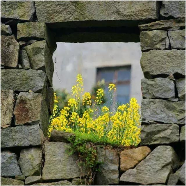 宋扬小说欣赏——生活用力过猛