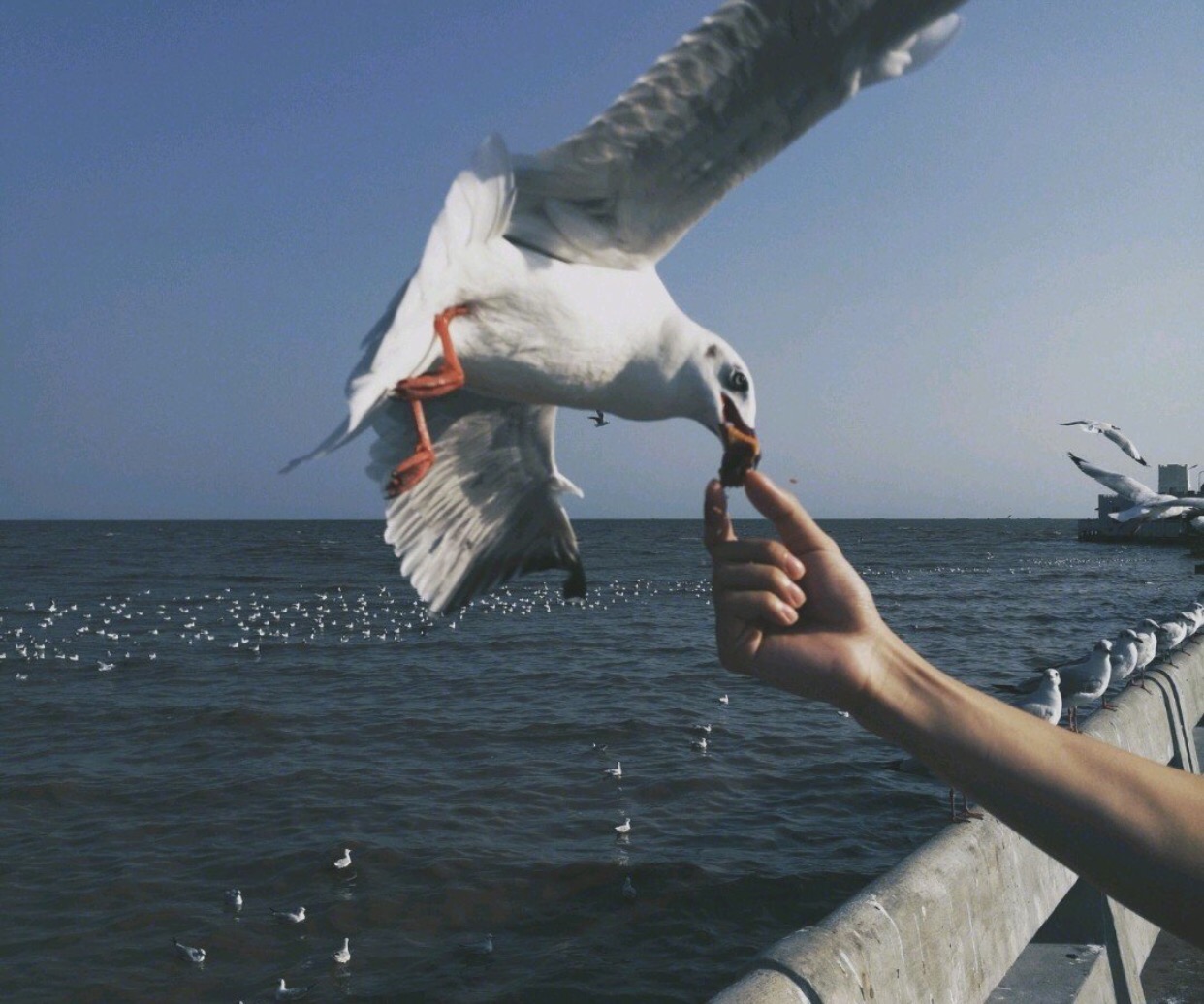 最好的时光遇见你全集,最好的时光泰剧版