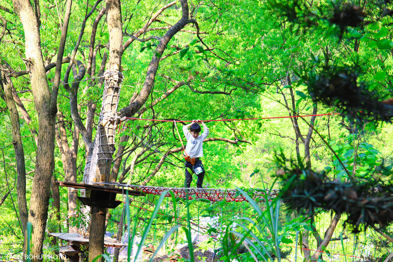 衢州飞越丛林探险乐园,浙江衢州深山