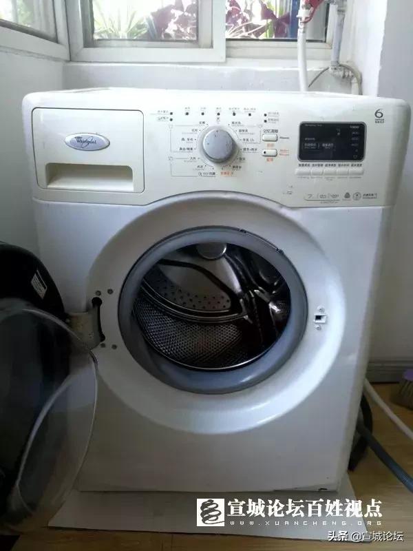 宝贝参加学校跳蚤市场活动,跳蚤市场畅销物品