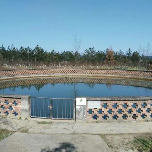 农村小伙投资100万养鱼,湖北返乡小伙养鱼创业