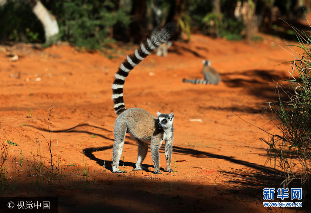东部非省会第一城,东部非省会城市