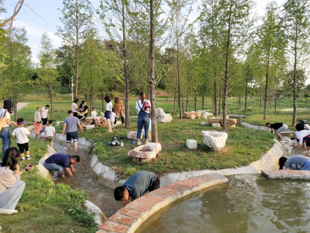 紫薇园宿州露营音乐节,中华紫薇园露营