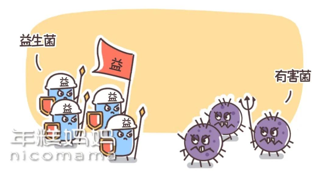 益生菌和益生元及乳酸菌有区别吗,乳酸菌益生元锌