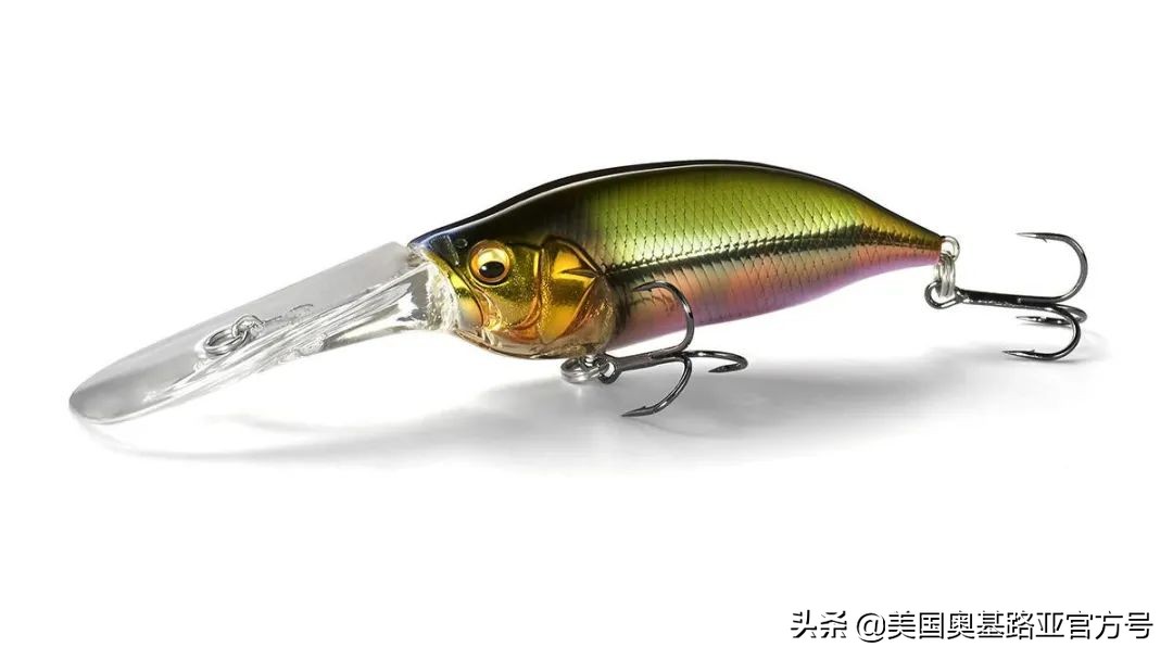 2021年春季渔具展会,2021昆明渔具展时间表