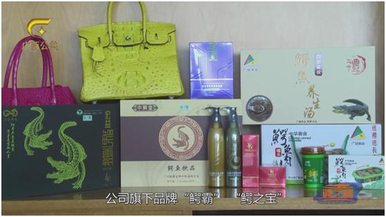 鳄之宝,广西卫视12点探秘节目