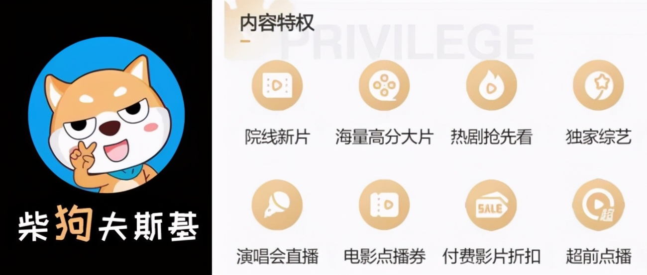 视频网站现在可以做吗,做视频网站不赚钱吗