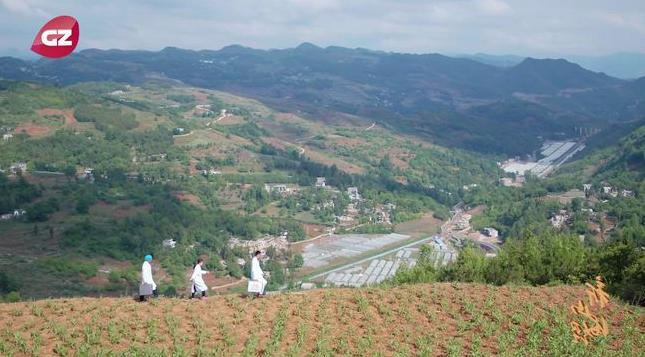 「花城早茶」冻冰冰，着羽绒！冷空气“*b大**oss”杀到丨包仔教路：“租”在广州，好幸福