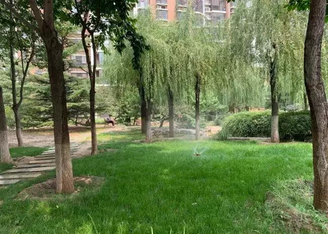 两个区交界的地方如何发展,两县交界处哪里最好