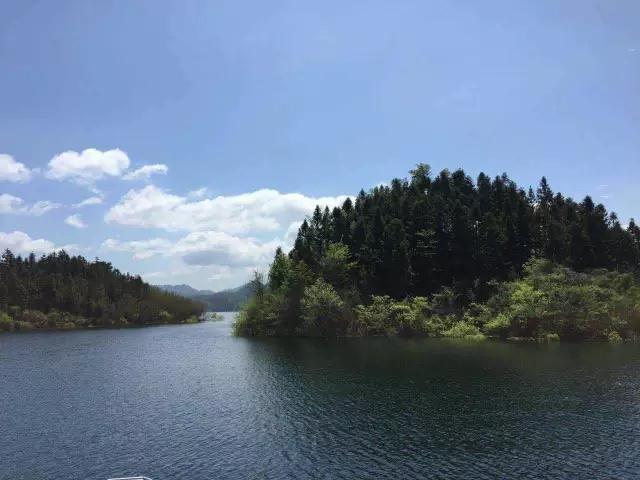 六安瓜片是绿茶当中最好的吗,六安瓜片特级高端手工绿茶250g