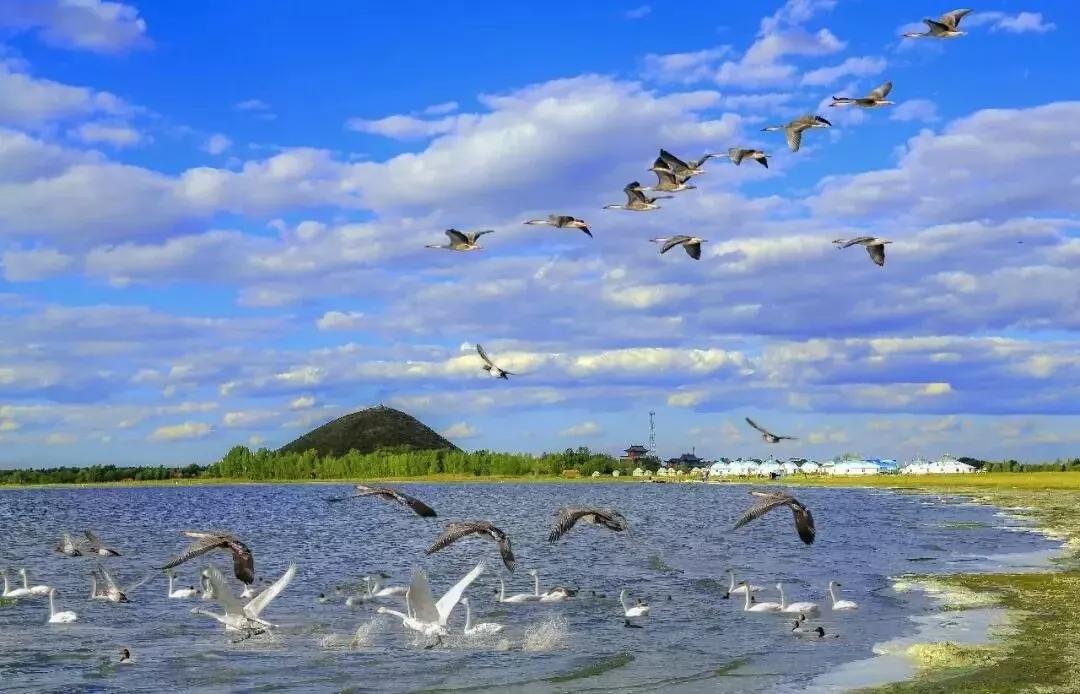 敖包相会的地方,敖包相会的地方通辽