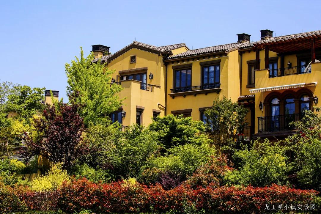 绿城龙王溪一期什么价格,绿城龙王溪小镇特价房源最新热评