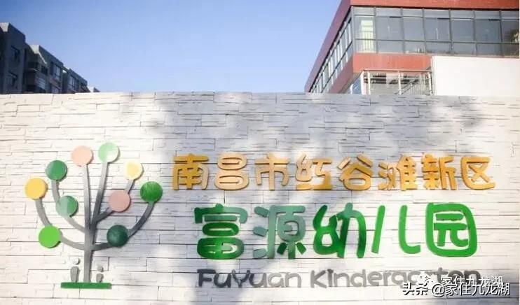 九龙湖幼儿园推荐,九龙湖幼儿园