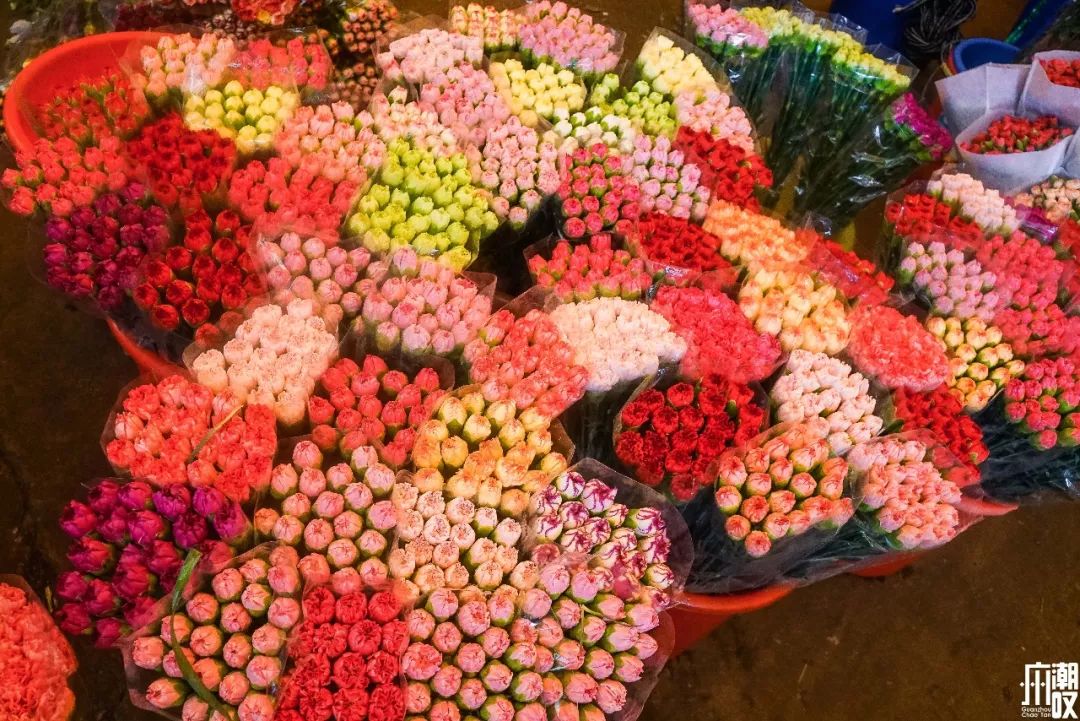 广州最大的花卉市场有哪些店,广州最便宜的花卉交易市场