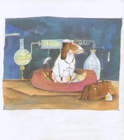 绘本故事大狗医生教案,健康卫生的简短绘本故事