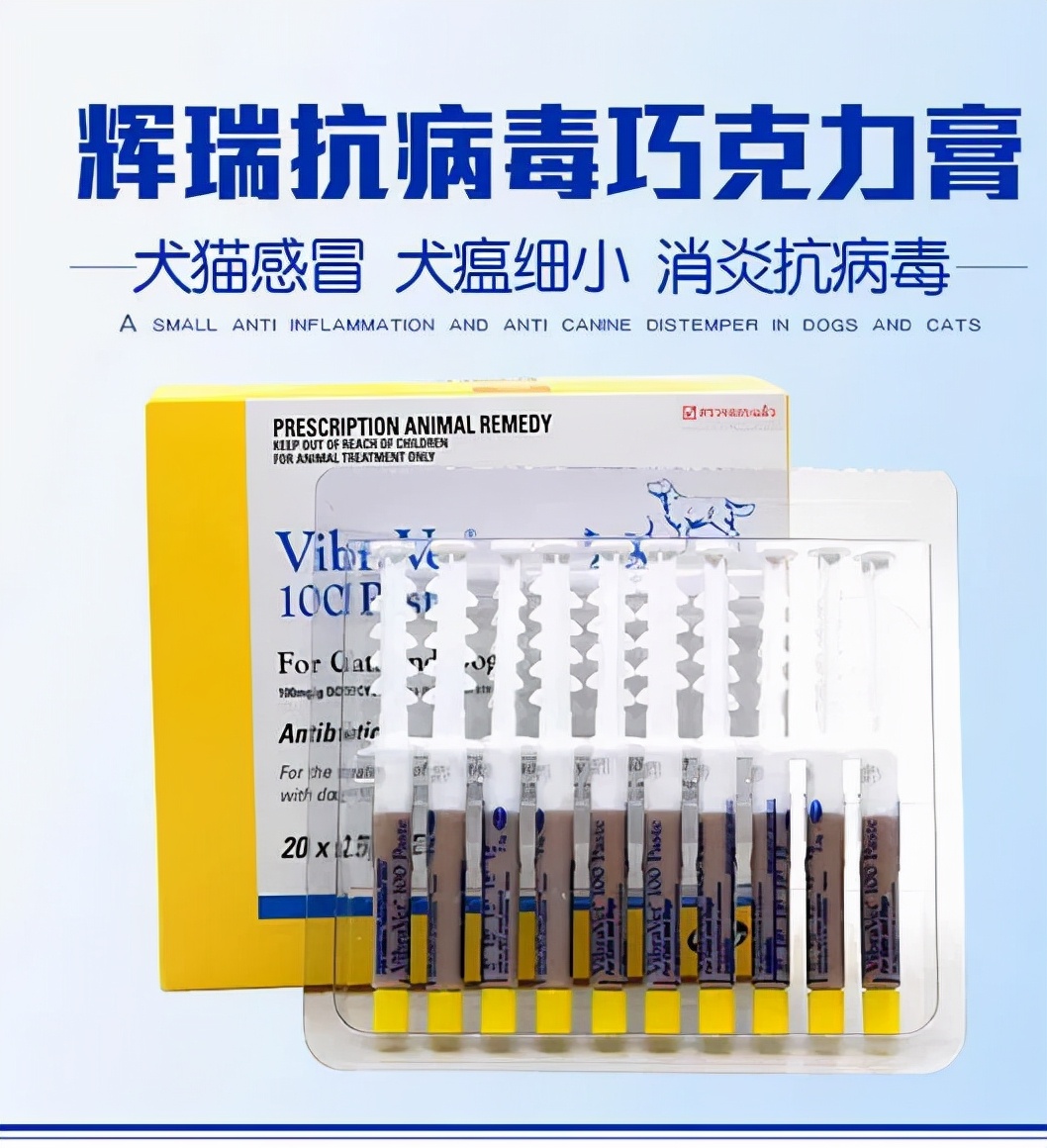 猫狗必备的药,收藏必备药品