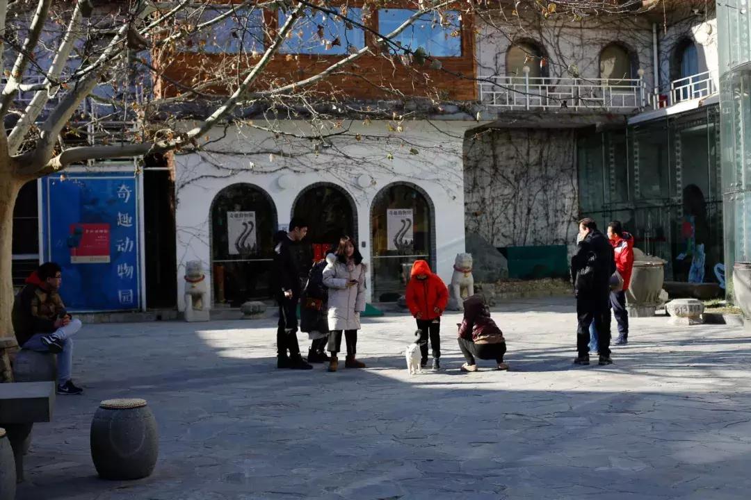 杨家枪原创视频,杨家枪抗日