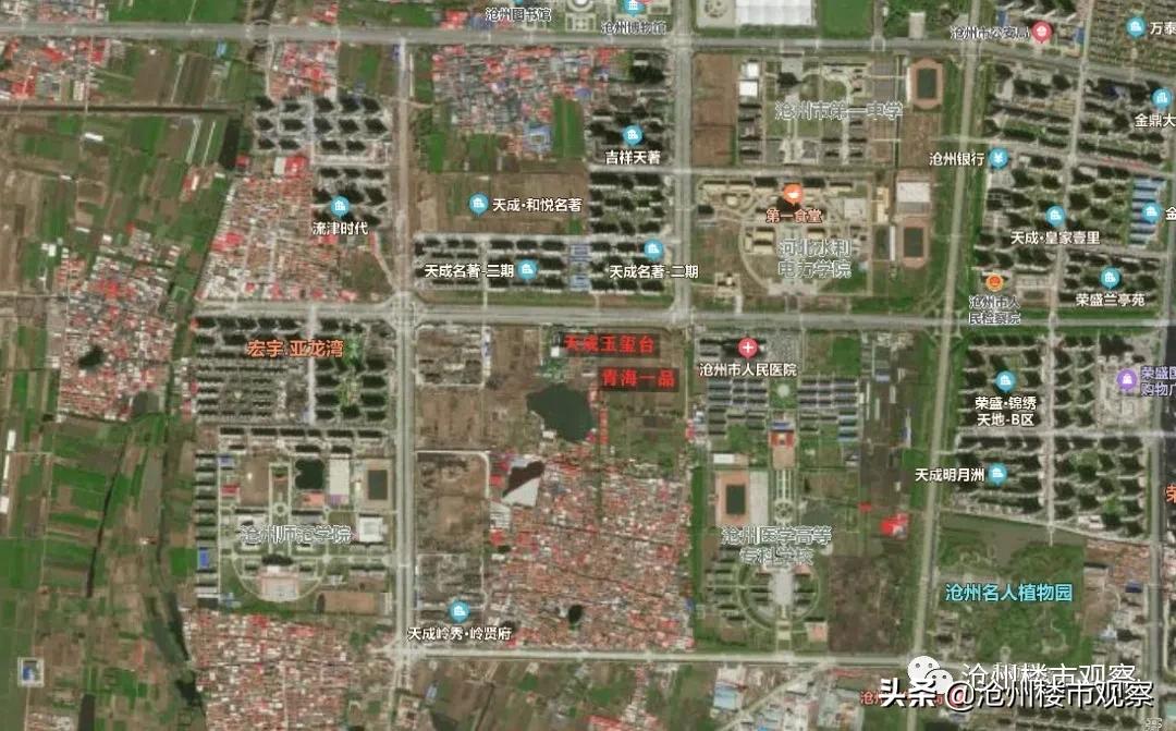 沧州东部新城9大片区,沧州开发7大片区