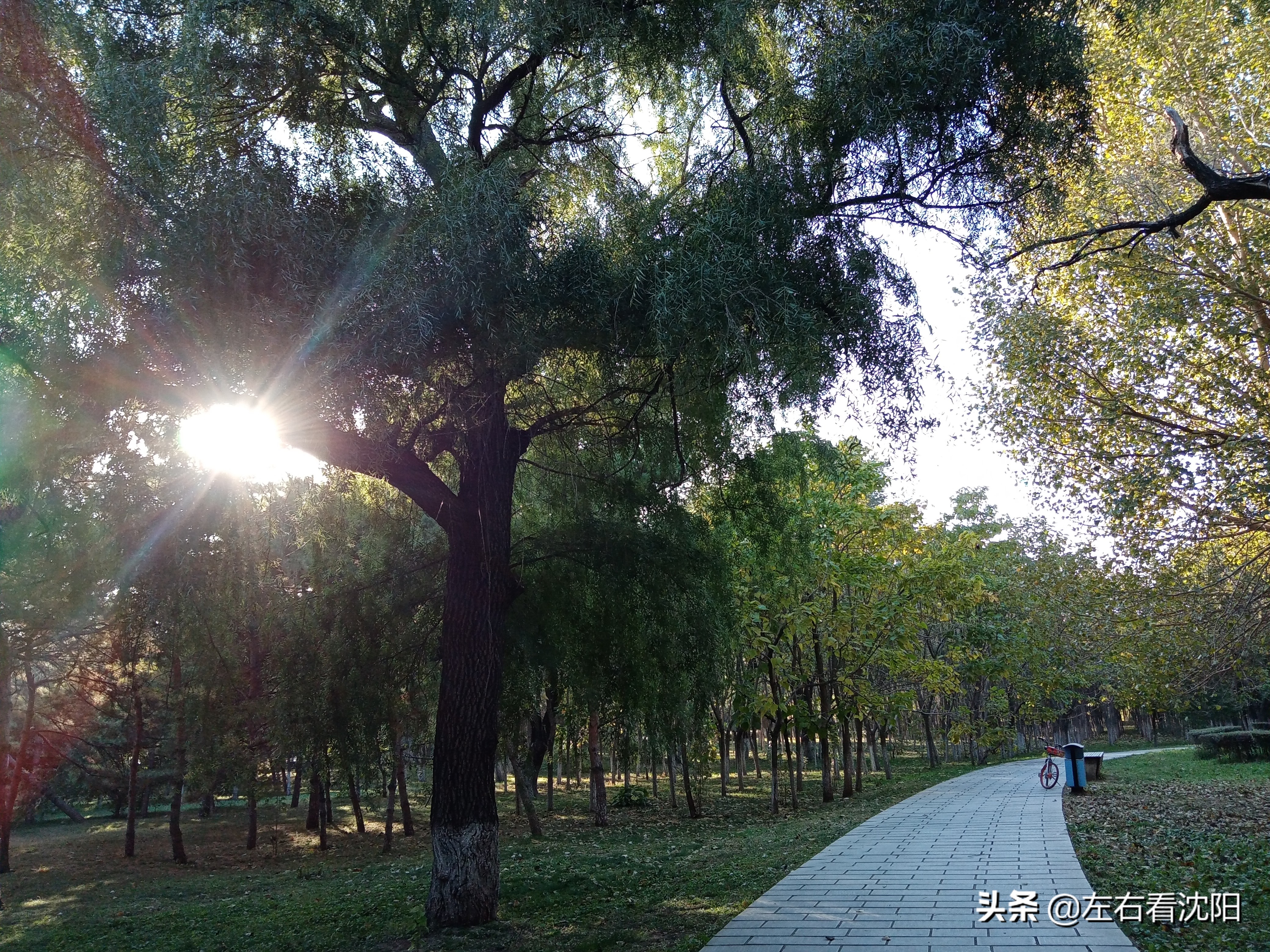 沈阳沈水湾公园看日出,沈阳浑河看海的地方