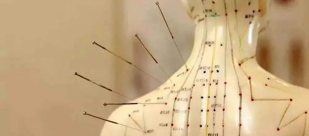 关于中医康复技术的知识,康复治疗知识速记