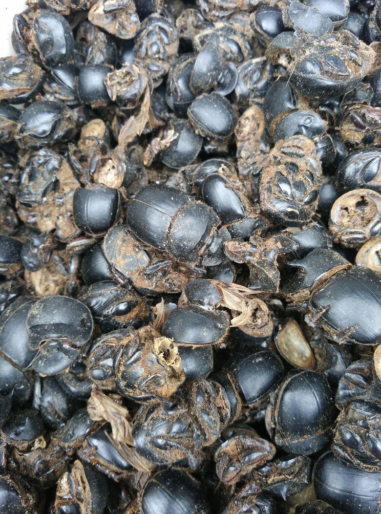 络脉瘀阻怎么治疗,疏通络脉的中成药