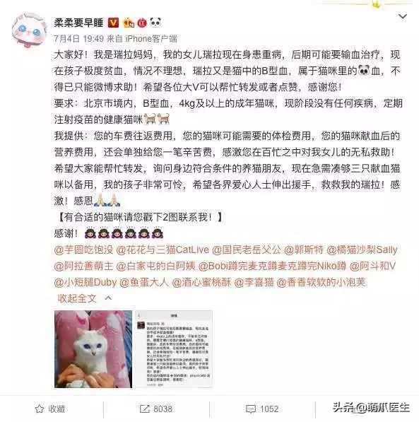 你见过猫咪的眼睛吗,你见过猫咪这种眼神吗