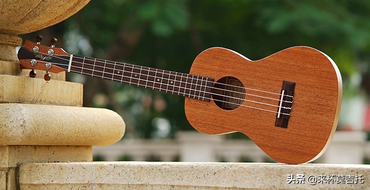 如何挑选尤克里里品牌,新手选购尤克里里牌子