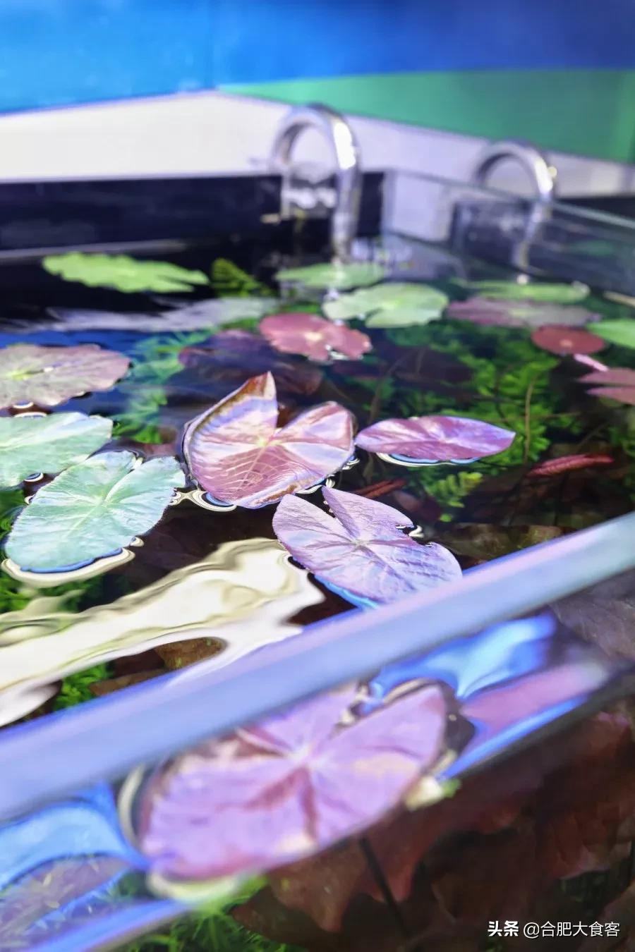 <html>
<head><title>502BadGateway</title></head>
<body>
<center><h1>502BadGateway</h1></center>
<hr><center>nginx</center>
</body>
</html>
<!--apaddingtodisableMSIEandChromefriendlyerrorpage-->
<!--apaddingtodisableMSIEandChromefriendlyerrorpage-->
<!--apaddingtodisableMSIEandChromefriendlyerrorpage-->
<!--apaddingtodisableMSIEandChromefriendlyerrorpage-->
<!--apaddingtodisableMSIEandChromefriendlyerrorpage-->
<!--apaddingtodisableMSIEandChromefriendlyerrorpage-->
