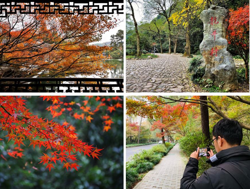 飞行2万公里，足迹10个城市——2020我的手机摄影之旅